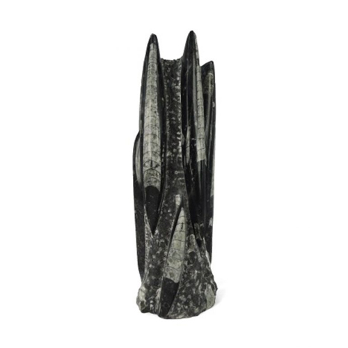 orthoceras-sculpturen-fossiel-goedkoop